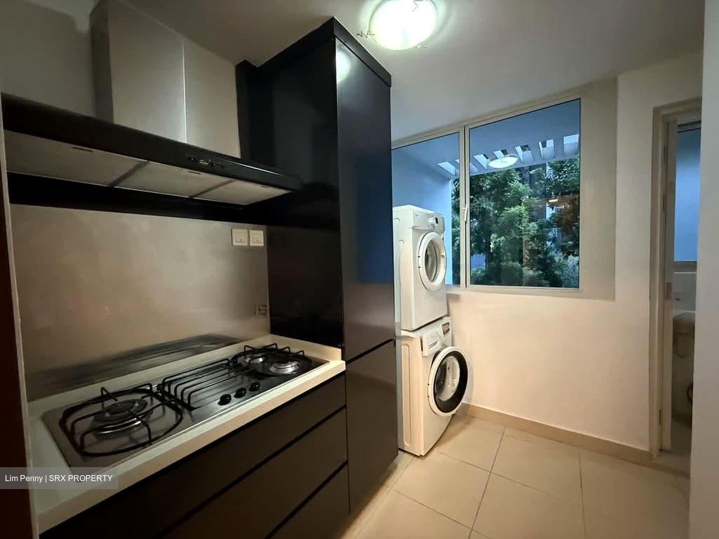 Citylights (D8), Condominium #568354191